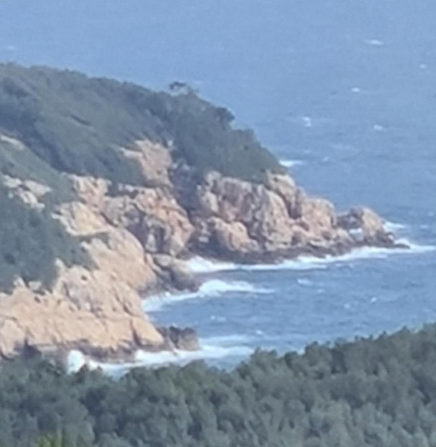 滨海圣西尔Daniel公寓 外观 照片